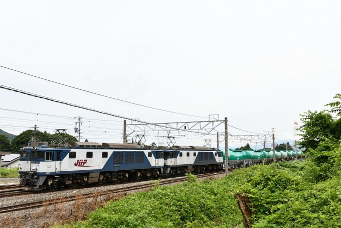 鉄道フォト・写真：JR貨物 国鉄EF64形電気機関車 EF64-1003 洗馬駅 鉄道フォト・写真 by おなだいさん - 撮影日 2022/07/16 11:19