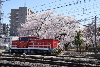 JR貨物 HD300形 HD300-9 鉄道フォト・写真 by おなだいさん 南松本駅：2019年04月20日09時ごろ