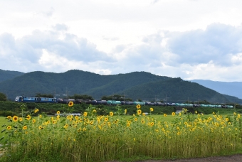 EH200-16 鉄道フォト・写真