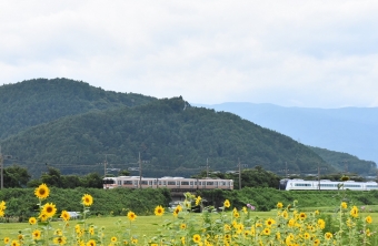 JR東海313系電車 鉄道フォト・写真 by おなだいさん みどり湖駅：2022年08月15日09時ごろ