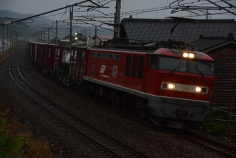 JR貨物 EF510形 EF510-5 鉄道フォト・写真 by おなだいさん 谷浜駅：2019年06月07日05時ごろ