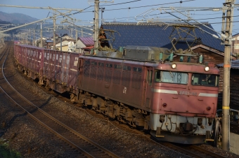 JR貨物 国鉄EF81形電気機関車 EF81-748 鉄道フォト・写真 by おなだいさん 谷浜駅：2014年03月14日07時ごろ