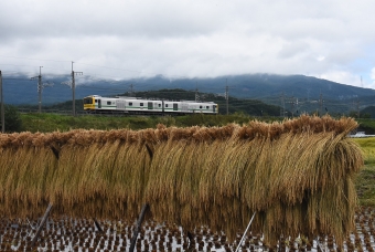 JR東日本E493系電車 クモヤE493-1 鉄道フォト・写真 by おなだいさん みどり湖駅：2022年09月24日13時ごろ