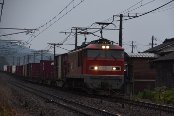 JR貨物 EF510形 EF510-9 鉄道フォト・写真 by おなだいさん 谷浜駅：2019年06月07日07時ごろ
