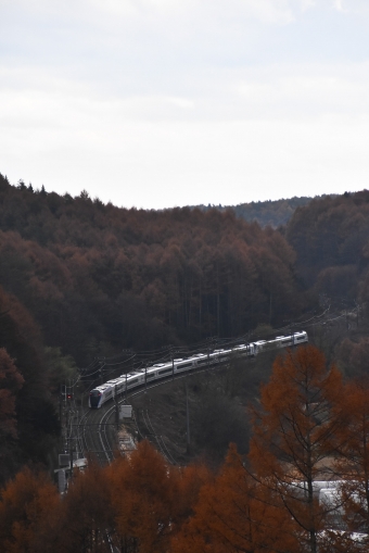 JR東日本E353系電車 あずさ(特急) 鉄道フォト・写真 by おなだいさん ：2022年11月13日12時ごろ