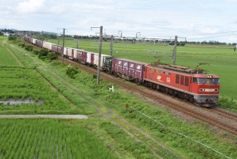 JR貨物 EF510形 EF510-5 鉄道フォト・写真 by おなだいさん 加治駅：2019年07月15日08時ごろ