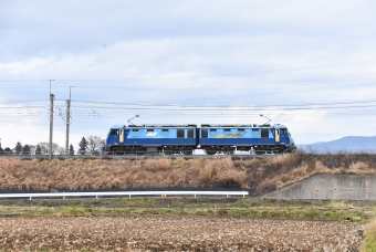 JR貨物 EH200形 EH200-16 鉄道フォト・写真 by おなだいさん みどり湖駅：2022年12月04日12時ごろ
