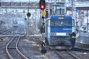 JR貨物 EH200形 EH200-20 鉄道フォト・写真 by おなだいさん 南松本駅：2022年12月10日06時ごろ
