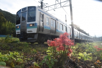 JR東日本 国鉄211系電車 鉄道フォト・写真 by おなだいさん 辰野駅：2019年09月30日07時ごろ