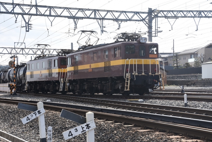 鉄道フォト・写真：三岐鉄道ED5081形電気機関車  ED5081 東藤原駅 鉄道フォト・写真 by おなだいさん - 撮影日 2019/11/16 12:35