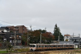 JR東海313系電車 鉄道フォト・写真 by おなだいさん 伊那松島駅：2019年11月03日08時ごろ