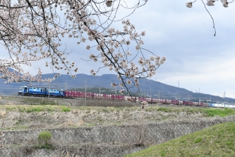 JR貨物EH200形電気機関車 鉄道フォト・写真 by おなだいさん みどり湖駅：2023年04月08日12時ごろ
