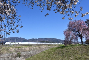 JR東日本E353系電車 あずさ(特急) 鉄道フォト・写真 by おなだいさん みどり湖駅：2023年04月09日13時ごろ