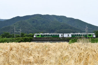 JR東日本 HB-E302形 リゾートビュー諏訪湖 HB-E302-2 鉄道フォト・写真 by おなだいさん みどり湖駅：2023年06月18日10時ごろ