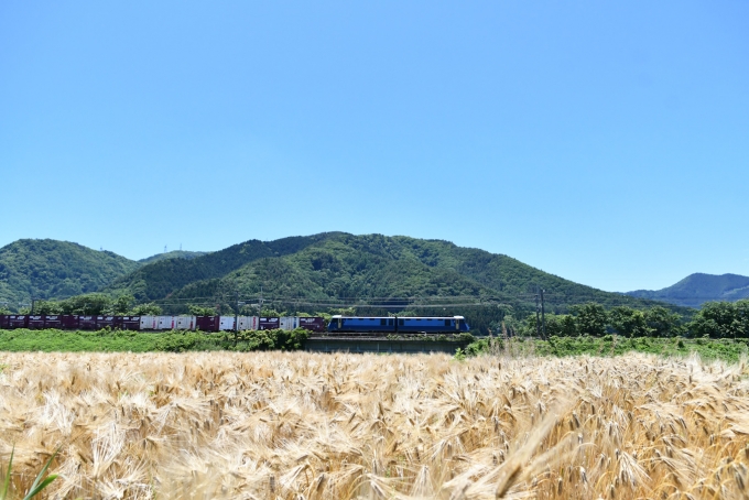 鉄道フォト・写真：JR貨物EH200形電気機関車 EH200-901 みどり湖駅 鉄道フォト・写真 by おなだいさん - 撮影日 2023/06/17 12:04