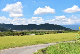JR東日本E001系電車 鉄道フォト・写真