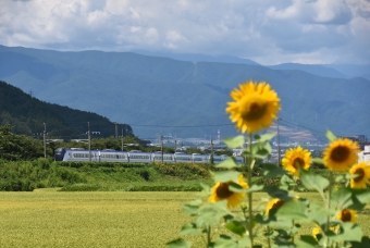 JR東日本E353系電車 あずさ(特急) 鉄道フォト・写真 by おなだいさん みどり湖駅：2023年08月27日11時ごろ