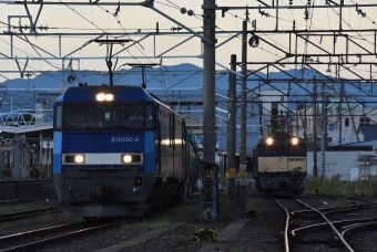 JR貨物 EH200形 EH200-8 鉄道フォト・写真 by おなだいさん 南松本駅：2023年09月02日05時ごろ