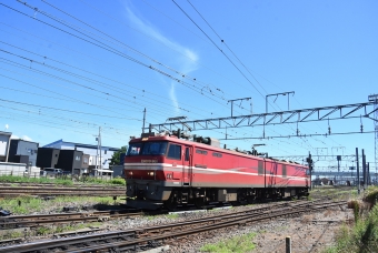 EH800-901 鉄道フォト・写真
