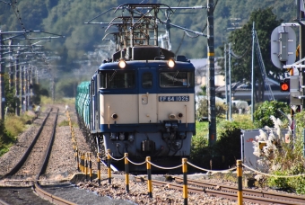 JR貨物 国鉄EF64形電気機関車 EF64-1026 鉄道フォト・写真 by おなだいさん 洗馬駅：2023年10月07日10時ごろ