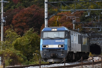 JR貨物 EH200形 EH200-24 鉄道フォト・写真 by おなだいさん 坂城駅：2023年10月29日11時ごろ