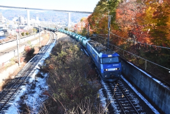 JR貨物 EH200形 EH200-9 鉄道フォト・写真 by おなだいさん 岡谷駅：2023年11月19日11時ごろ
