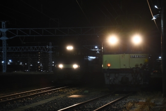 JR貨物 国鉄EF64形電気機関車 EF64-1044 鉄道フォト・写真 by おなだいさん 南松本駅：2023年11月25日05時ごろ