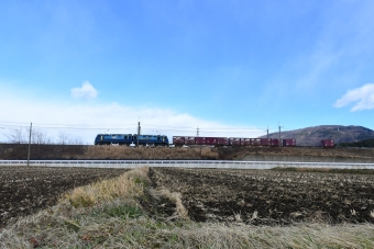 JR貨物EH200形電気機関車 鉄道フォト・写真 by おなだいさん みどり湖駅：2023年12月17日12時ごろ