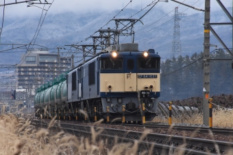 JR貨物 EF64-1037 鉄道フォト・写真 by おなだいさん 塩尻駅：2024年02月04日11時ごろ