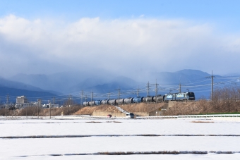 JR貨物EH200形電気機関車 EH200-21 鉄道フォト・写真 by おなだいさん みどり湖駅：2024年02月10日15時ごろ
