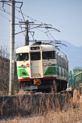 クハ115-1017 鉄道フォト・写真