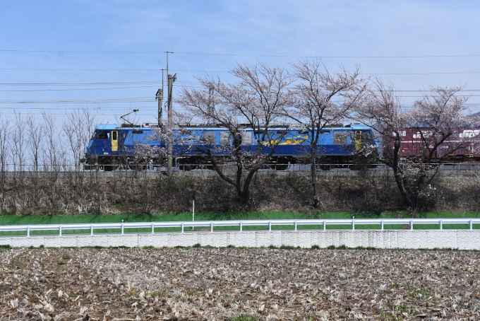 JR貨物 EH200形 EH200-9 鉄道フォト・写真 by おなだいさん みどり湖駅：2024年04月13日12時ごろ