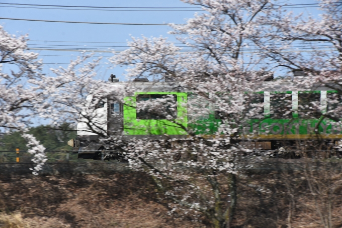 JR東日本 HB-E301形 リゾートビュー諏訪湖 HB-E301-2 鉄道フォト・写真 by おなだいさん みどり湖駅：2024年04月14日14時ごろ