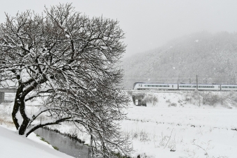 JR東日本E353系電車 あずさ(特急) 鉄道フォト・写真 by おなだいさん みどり湖駅：2020年03月29日11時ごろ