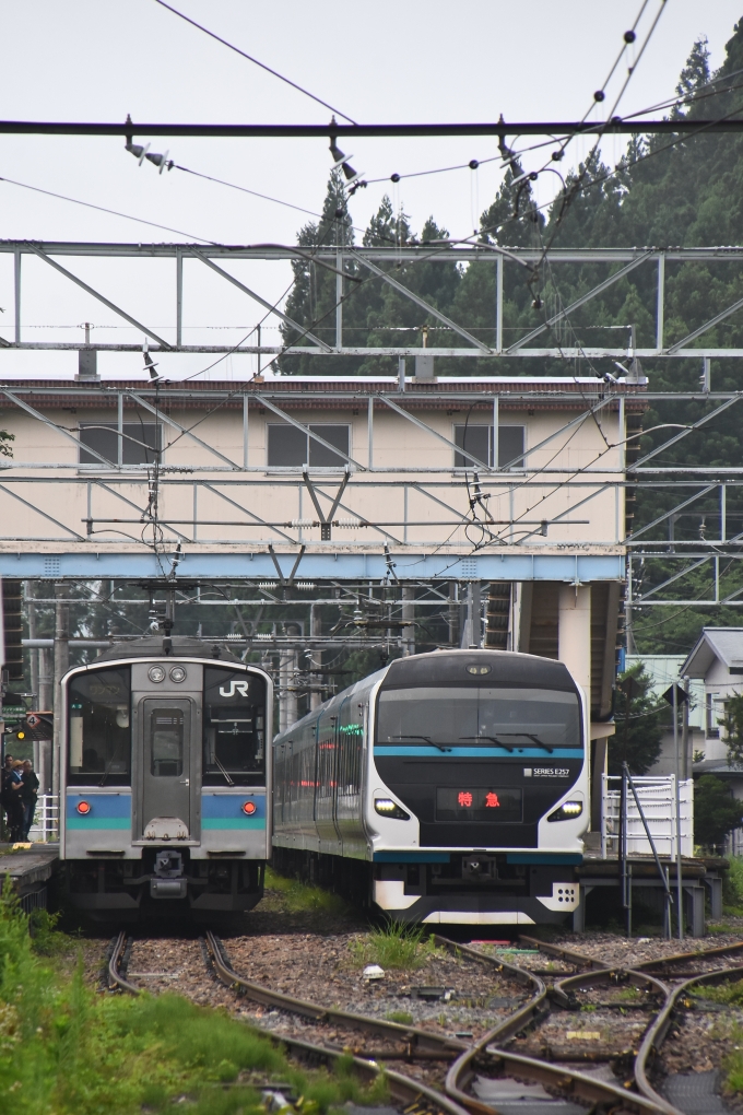 鉄道フォト・写真：JR東日本E257系電車 アルプス クハE256-2016 神城駅 鉄道フォト・写真 by おなだいさん - 撮影日 2024/07/13 06:23