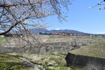 JR貨物 EH200形 EH200-15 鉄道フォト・写真 by おなだいさん みどり湖駅：2020年04月11日12時ごろ