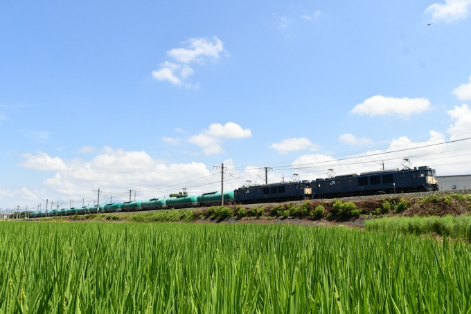 鉄道フォト・写真：JR貨物 国鉄EF64形電気機関車 EF64-1038 広丘駅 鉄道フォト・写真 by おなだいさん - 撮影日 2024/08/09 11:07