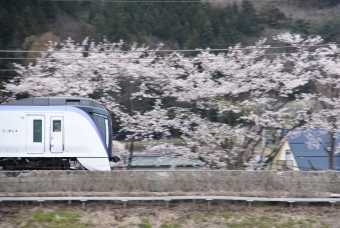 JR東日本 クハE352形 あずさ(特急) クハE352-8 鉄道フォト・写真 by おなだいさん みどり湖駅：2020年04月19日10時ごろ
