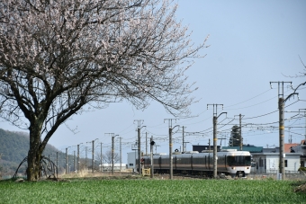 JR東海383系電車 （ワイドビュー）しなの(特急) 鉄道フォト・写真 by おなだいさん 日出塩駅：2020年04月04日10時ごろ