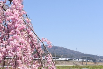 JR東日本E353系電車 あずさ(特急) 鉄道フォト・写真 by おなだいさん みどり湖駅：2020年04月25日12時ごろ