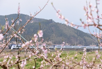 JR東日本E353系電車 あずさ(特急) 鉄道フォト・写真 by おなだいさん みどり湖駅：2020年04月26日10時ごろ