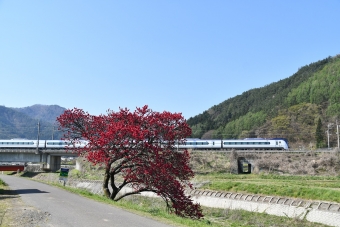 JR東日本E353系電車 あずさ(特急) 鉄道フォト・写真 by おなだいさん みどり湖駅：2020年05月02日08時ごろ
