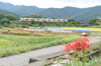 JR東海 クハ312-408 (313系) 車両ガイド | レイルラボ(RailLab)