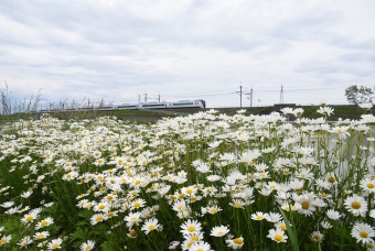 JR東日本E353系電車 あずさ(特急) 鉄道フォト・写真 by おなだいさん みどり湖駅：2020年05月31日11時ごろ