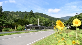 JR東日本E127系電車 鉄道フォト・写真 by おなだいさん 辰野駅：2020年08月23日09時ごろ