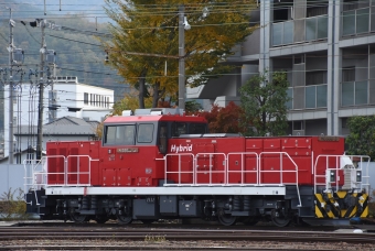 JR貨物 HD300形 HD300-5 鉄道フォト・写真 by おなだいさん 南松本駅：2020年11月07日08時ごろ