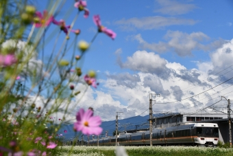 クモハ383-12 鉄道フォト・写真