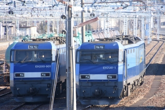 JR貨物 EH200形 EH200-901 鉄道フォト・写真 by おなだいさん 南松本駅：2021年02月28日07時ごろ