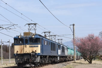 JR貨物 国鉄EF64形電気機関車 EF64-1033 鉄道フォト・写真 by おなだいさん 洗馬駅：2021年03月20日11時ごろ