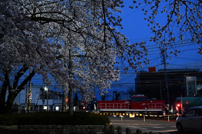 JR貨物HD300形機関車 鉄道フォト・写真 by おなだいさん 南松本駅：2021年04月03日05時ごろ